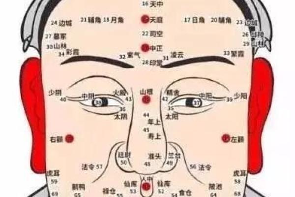男士颧骨痣解析：痣相学图解揭示事业成就秘诀