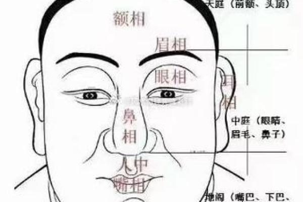 额头纹相吉凶解析集锦：面相额头纹吉凶解析与判断