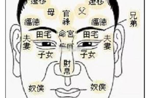 探究八字眼女性面相特点：解读八字眼面相含义