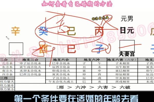 推命批四柱八字的诀窍,四柱八字自学基本知识