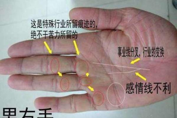 解读感情线与婚姻线奥秘：揭开婚姻线的神秘面纱