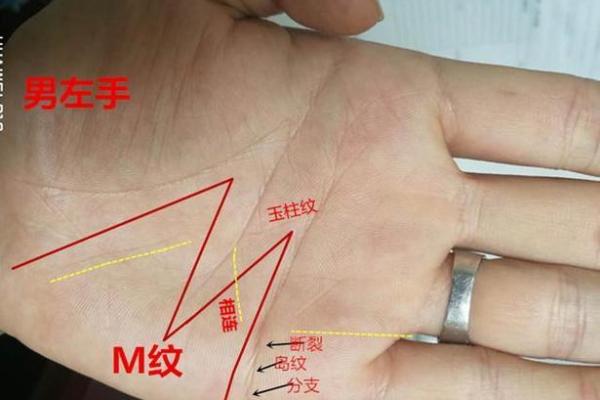 尖细十指揭示女性命运 手指尖尖的女性是否注定富贵？