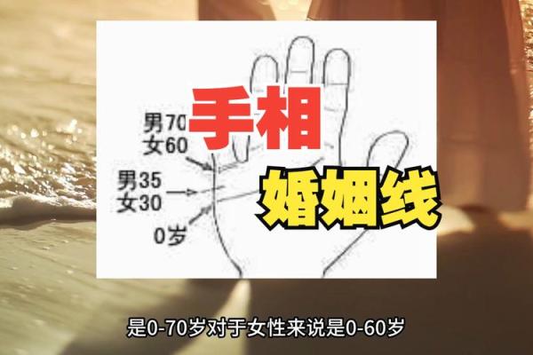 女性左手揭秘理想伴侣：左手手相中的婚姻密码解读