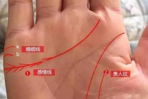 男性右手婚姻纹解析：如何深入探究婚姻线的深层含义