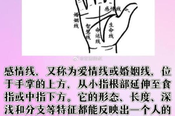 男性右手婚姻纹解析：如何深入探究婚姻线的深层含义