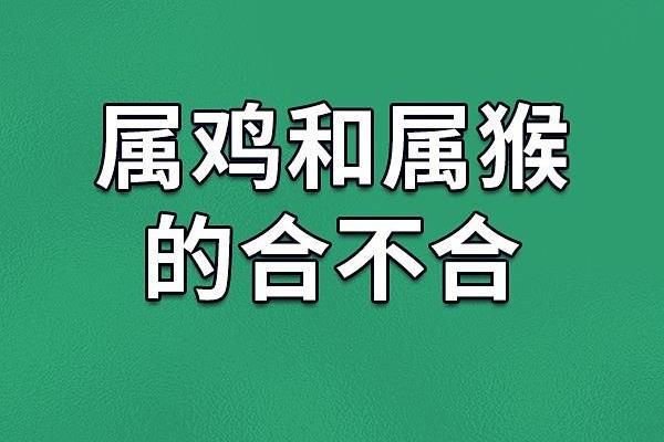 05年属鸡男性与04年属猴女性的配对情况分析