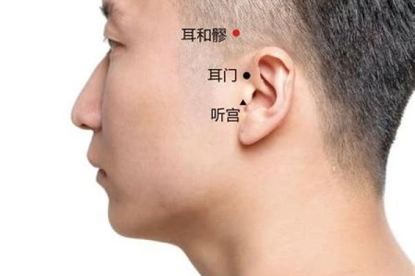 面相解析：耳朵不对称的面相特质预示成就非凡