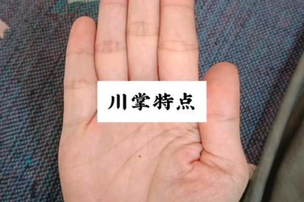 川字掌女性命运解析：揭秘川字掌的含义与影响