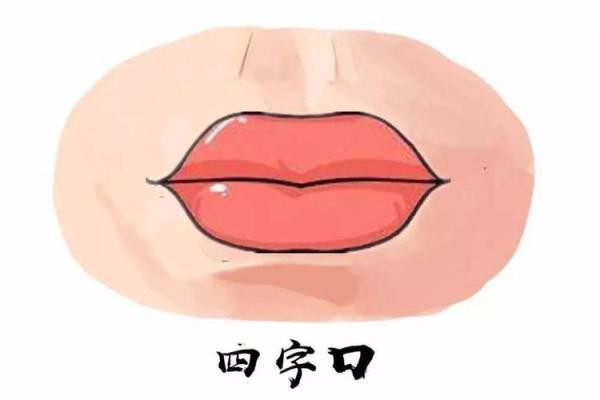 探索50岁之后财富命理：下巴与唇形预示财运