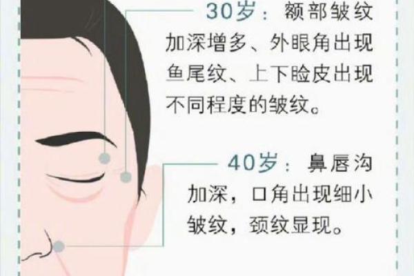 法令纹痣解析：深入探讨法令纹及其特征