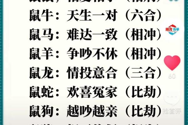 91年属羊男与87年属兔女的相配性探讨