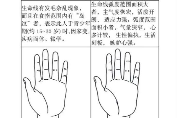 掌纹揭秘：生命纹较长彰显旺盛生命力