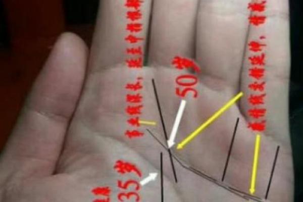 揭秘7大财富手相特征：事业线预示富贵 手握财库显赫大富大贵