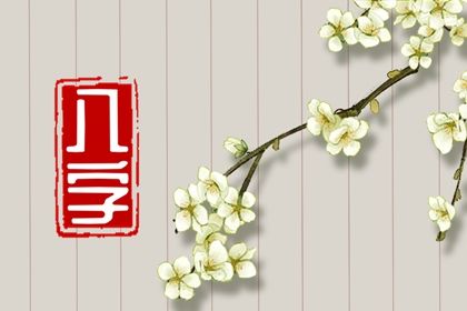 流年运势：动态视角
