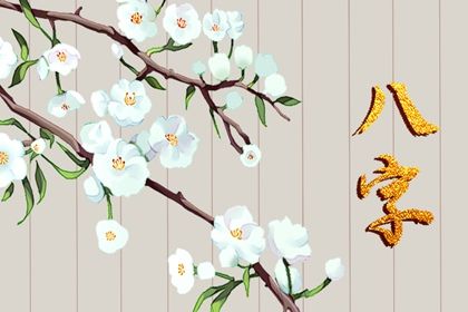 命宫、身宫与胎元
