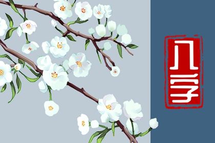 如何阅读一份排盘