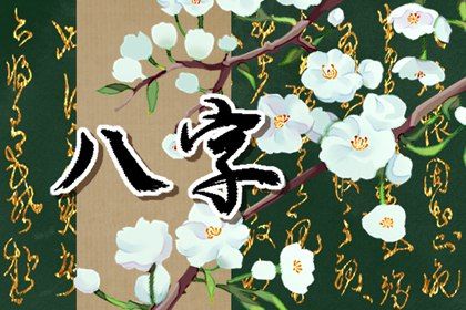 如何阅读一份排盘
