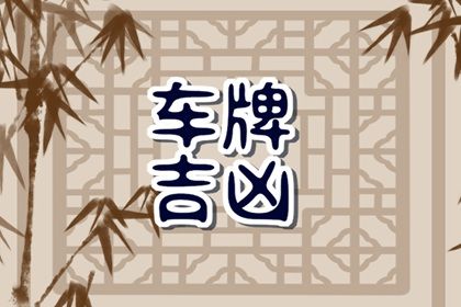 如何读本页结果