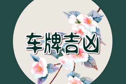 在线号码查询怎么看