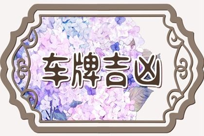 数理分如何理解