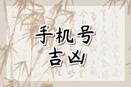 数字化号码参考用法
