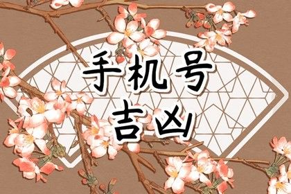 号码吉凶是什么