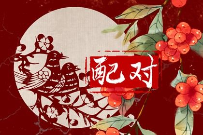 血型配对(民俗参考)