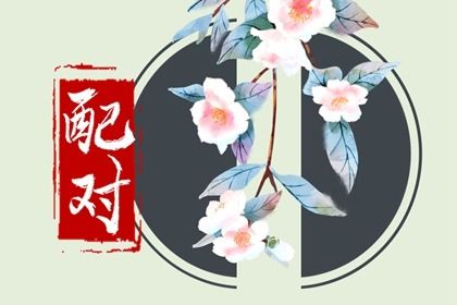 查婚姻配对结果,算命测婚姻树,婚姻看八字,十二婚姻配对,查询婚姻,婚姻适配