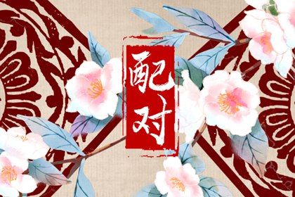 四柱在婚姻中的分工