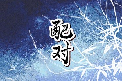血型配对(民俗参考)
