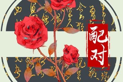 八字测单身姻缘,婚姻名字配对,算缘分配对,姓名算姻缘免费