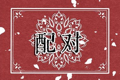 星座配对(民俗参考)
