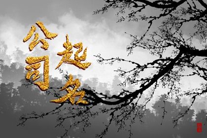 在线起名的边界