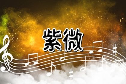 排盘基础概念