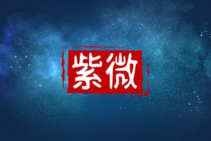 紫微斗数是什么
