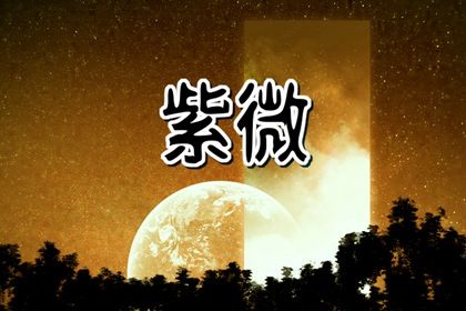 测算结果怎么用