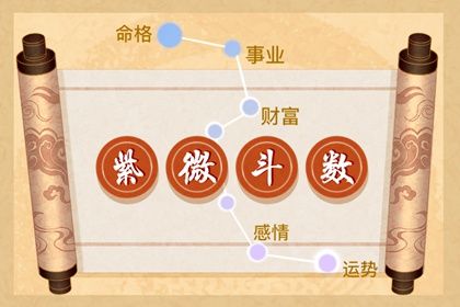 在线紫微查询怎么看