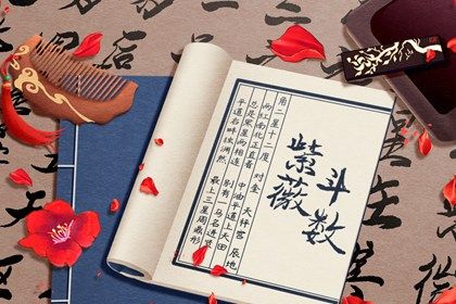 数字化紫微参考用法